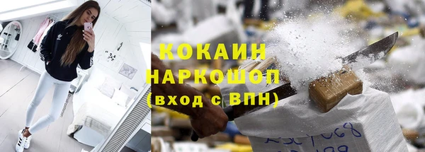 мдпв Инта