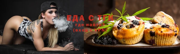 мдпв Инта
