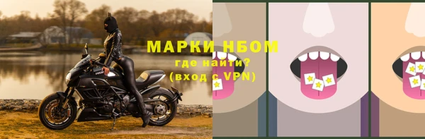 мяу мяу мука Инсар