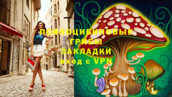 мдпв Инта