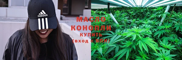 мдпв Инта
