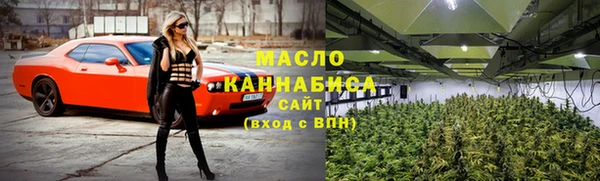 мдпв Инта
