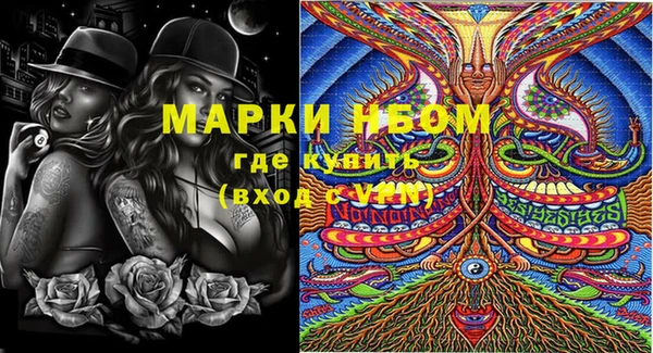 мяу мяу мука Инсар