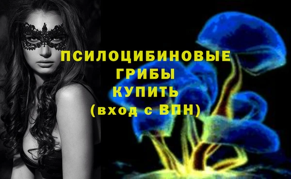 мяу мяу мука Инсар