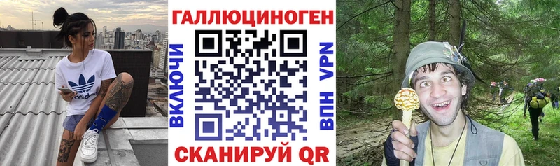Псилоцибиновые грибы Magic Shrooms  Купить где  Кольчугино 